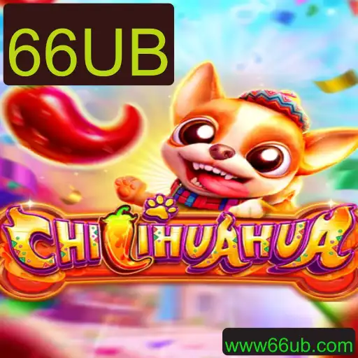 CHILIHUAHUA: Uma Aventura Vibrante no Mundo dos Jogos de Tabuleiro