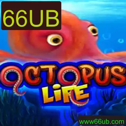 Explorando o Desafio Único de OctopusLife e a Intrigante Palavra-Chave 66UB